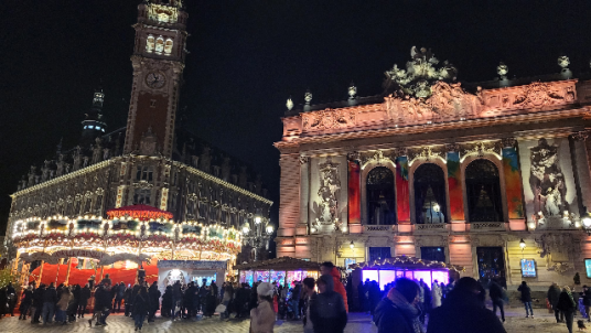 Visite de Lille 